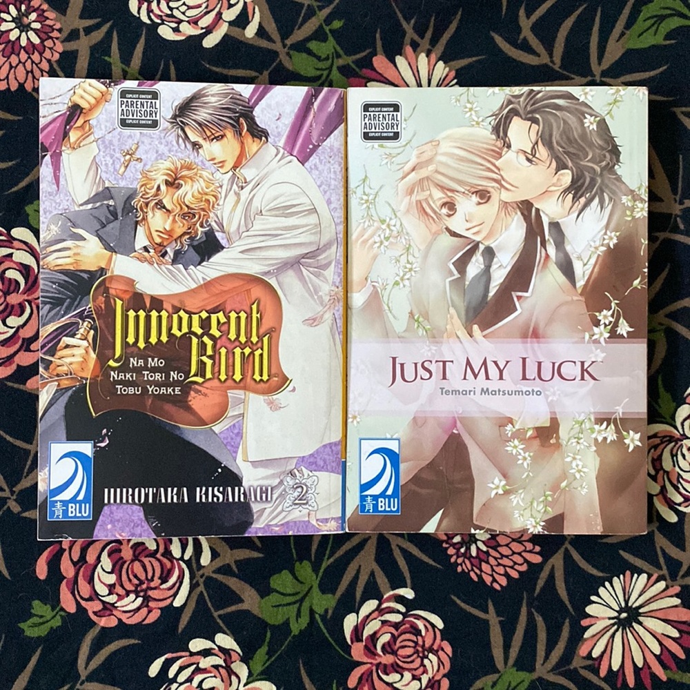 Yaoi Manga